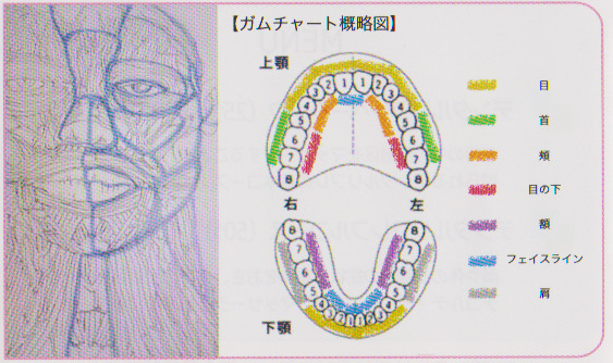 ガムチャート概略図